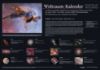 Bild von Weltraum-Kalender 2026